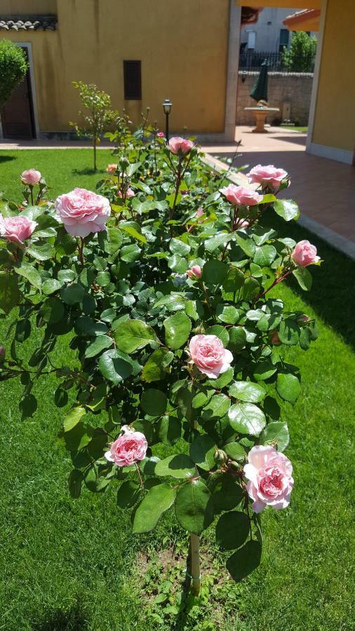 Villa Le Rose Di Modica Exterior foto